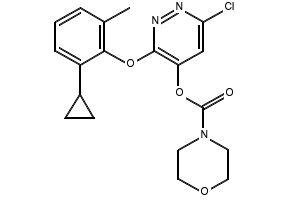 (6-Chloro-pyridazin-3-yl)-cyclopropyl-amine structure, CAS 941294-45-7