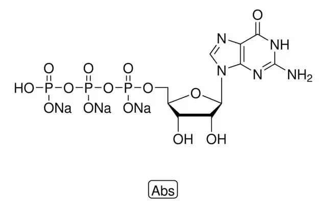 GUANOSINE 5'-TRIPHOSPHATE structure, CAS 24905-71-3