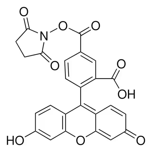 5-Carboxyfluorescein N-succinimidyl ester structure, CAS 92557-80-7