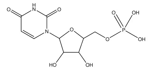 Uridine 5′-monophosphate structure, CAS 58-97-9