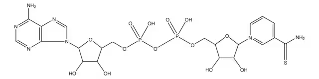THIONICOTINAMIDE ADENINE DINUCLEOTIDE structure, CAS 4090-29-3