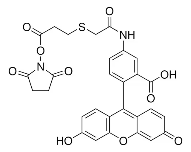 NHS-FLUORESCEIN structure, CAS 135795-62-9