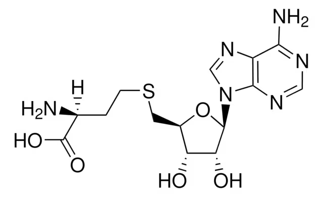 5'-DEOXY-S-ADENOSYL-L-HOMOCYSTEINE structure, CAS 979-92-0