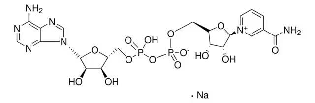 BETA-NICOTINAMIDE ADENINE DINUCLEOTIDE SODIUM SALT structure, CAS 20111-18-6