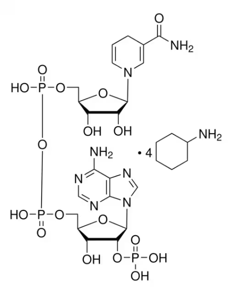 BETA-NADPH TETRA(CYCLOHEXYLAMMONIUM) SALT structure, CAS 100929-71-3