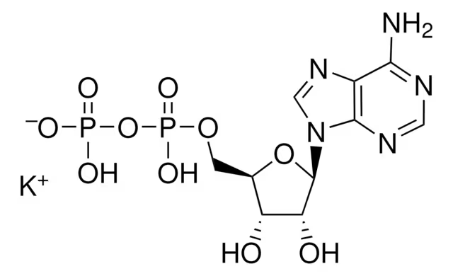 ADENOSINE 5'-DIPHOSPHATE MONOPOTASSIUM SALT structure, CAS 72696-48-1