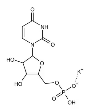 Polyuridylic acid potassium salt structure, CAS 27416-86-0