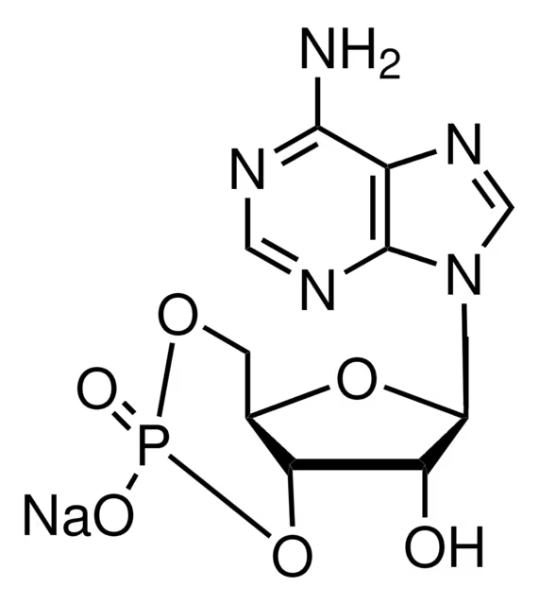 CAMP SODIUM SALT structure, CAS 37839-81-9