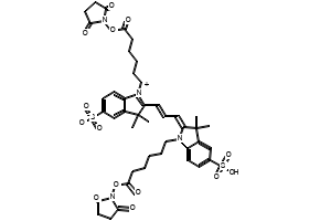 Cy3 structure, CAS 146397-20-8