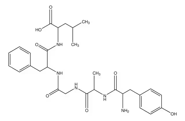 TYR-D-ALA-GLY-PHE-LEU structure, CAS 64963-01-5