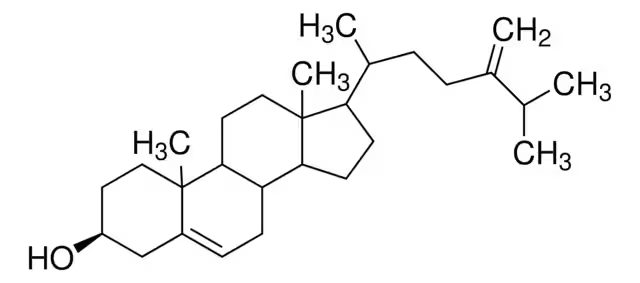 5,24(28)-Cholestadien-24-methylen-3beta-ol structure, CAS 474-63-5