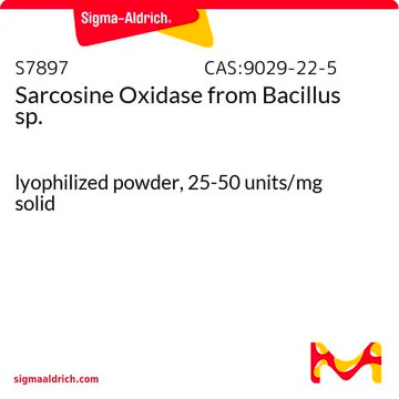 SARCOSINE OXIDASE structure, CAS 9029-22-5