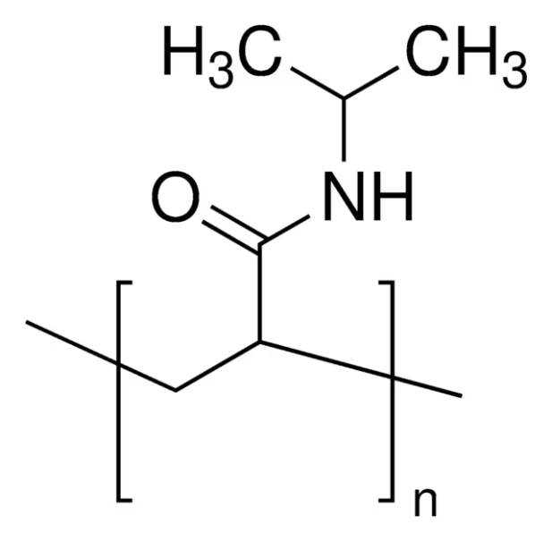 POLY(N-ISOPROPYL ACRYLAMIDE) structure, CAS 25189-55-3