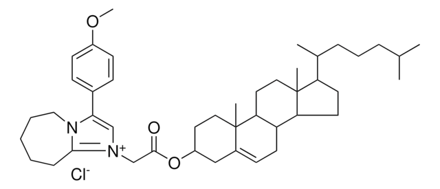 (1,5-dimethylhexyl)ammonium chloride structure, CAS 5984-59-8