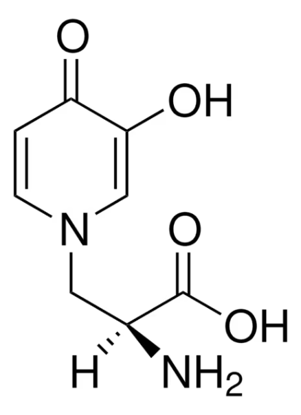L-MIMOSINE structure, CAS 500-44-7