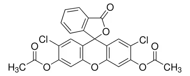 2',7'-DICHLOROFLUORESCIN DIACETATE structure, CAS 2044-85-1