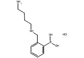 (2-AMINO-4-(IMINO(METHOXY)METHYL)PHENYL)BORONIC ACID HYDROCHLORIDE structure, CAS 1217501-29-5