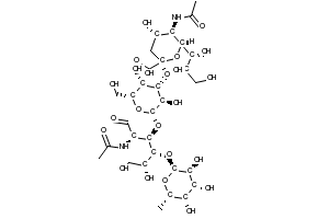 (2R,3R)-1-ETHYL-6-OXO-2-PHENYLPIPERIDINE-3-CARBOXYLIC ACID structure, CAS 1071536-01-0