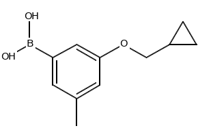 (3-(CYCLOPROPYLMETHOXY)-5-METHYLPHENYL)BORONIC ACID structure, CAS 1256345-78-4