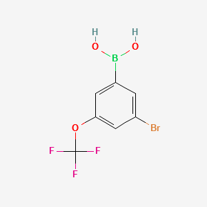 (3-BROMO-5-(TRIFLUOROMETHOXY)PHENYL)BORONIC ACID structure, CAS 1072951-48-4