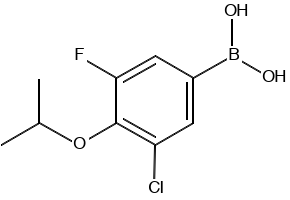 (3-CHLORO-4-FLUORO-5-NITROPHENYL)BORONIC ACID structure, CAS 850568-73-9