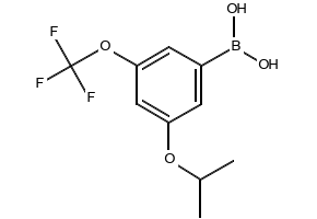 (3-PROPOXY-5-(TRIFLUOROMETHOXY)PHENYL)BORONIC ACID structure, CAS 1256346-02-7