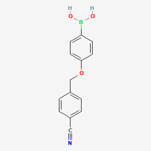 (4-((4-CYANOBENZYL)OXY)PHENYL)BORONIC ACID structure, CAS 1256355-70-0