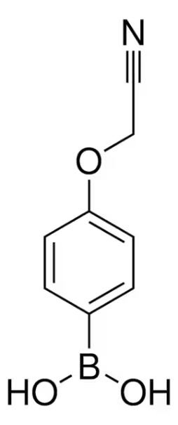 (4-(CYANOMETHOXY)PHENYL)BORONIC ACID structure, CAS 947533-23-5