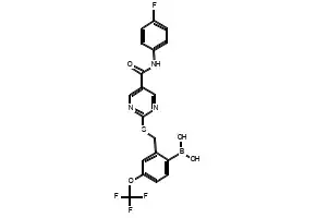 (5-IODO-2-(TRIFLUOROMETHOXY)PHENYL)BORONIC ACID structure, CAS 1256355-12-0
