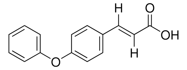 (E)-3-(3-AMINOPHENYL)ACRYLIC ACID structure, CAS 127791-53-1