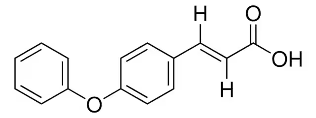 (E)-3-(4-FLUOROPHENYL)ACRYLIC ACID structure, CAS 14290-86-9