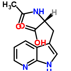 (R)-2-ACETAMIDO-3-(1H-PYRROLO[2,3-B]PYRIDIN-3-YL)PROPANOIC ACID structure, CAS 211180-00-6