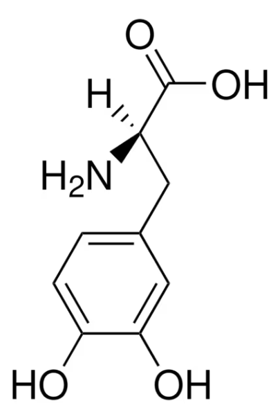 (R)-2-AMINO-3-(3,4-DIHYDROXYPHENYL)PROPANOIC ACID structure, CAS 5796-17-8