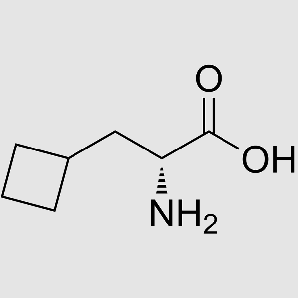 (R)-2-AMINO-3-CYCLOBUTYLPROPANOIC ACID structure, CAS 174266-00-3