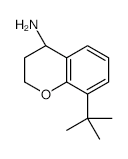 (R)-8-(TERT-BUTYL)CHROMAN-4-AMINE structure, CAS 1221444-51-4
