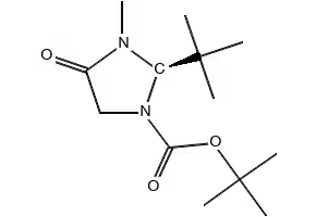 (R)-TERT-BUTYL 2-(TERT-BUTYL)-3-METHYL-4-OXOIMIDAZOLIDINE-1-CARBOXYLATE structure, CAS 119838-44-7