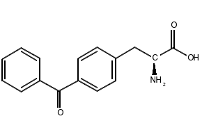 (S)-2-AMINO-3-(4-CARBAMOYLPHENYL)PROPANOIC ACID structure, CAS 223593-04-2