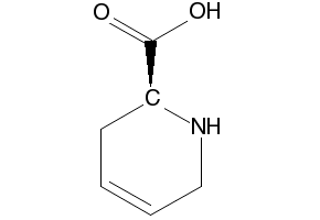 1,2,3,6-TETRAHYDROPYRIDINE-2-CARBOXYLIC ACID structure, CAS 498-98-6