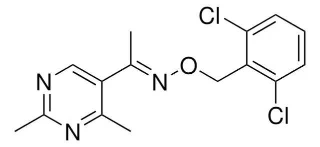 1-(2,4-DIMETHYL-5-NITROPHENYL)ETHANONE structure, CAS 13621-23-3