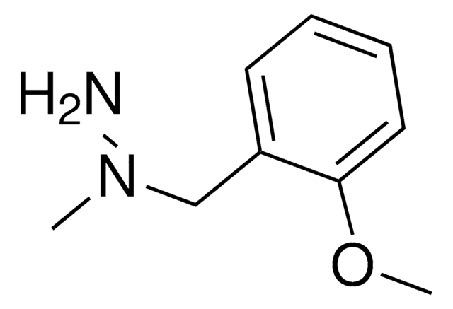 1-(2-METHOXYBENZYL)GUANIDINE structure, CAS 224947-74-4