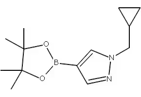 1-(CYCLOPROPYLMETHYL)-4-(4,4,5,5-TETRAMETHYL-1,3,2-DIOXABOROLAN-2-YL)-1H-PYRAZOLE structure, CAS 1000801-75-1