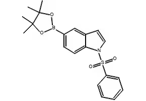 1-(PHENYLSULFONYL)-5-(4,4,5,5-TETRAMETHYL-1,3,2-DIOXABOROLAN-2-YL)-1H-INDOLE structure, CAS 1256359-23-5