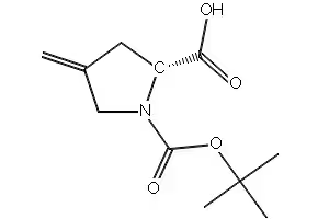 1-(TERT-BUTOXYCARBONYL)-4-METHYLENEPYRROLIDINE-2-CARBOXYLIC ACID structure, CAS 144539-45-7