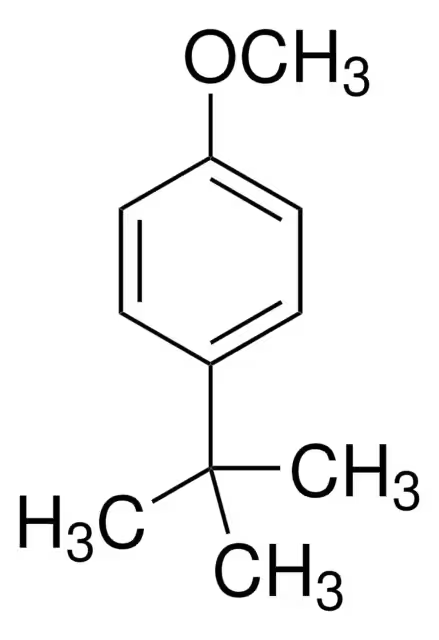 1-(TERT-BUTYL)-4-METHOXYBENZENE structure, CAS 5396-38-3