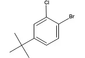 1-BROMO-4-(TERT-BUTYL)-2-CHLOROBENZENE structure, CAS 1251032-65-1