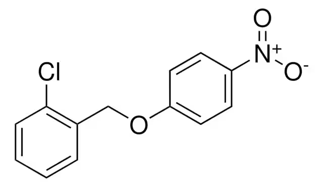 1-CYCLOHEXYL-2-(2-NITROPHENOXY)BENZENE structure, CAS 169797-30-2