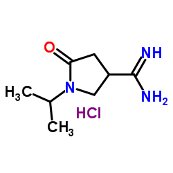 1-ISOPROPYL-5-OXOPYRROLIDINE-3-CARBOXIMIDAMIDE HYDROCHLORIDE structure, CAS 1272756-01-0