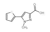 1-METHYL-5-(THIOPHEN-2-YL)-1H-PYRAZOLE-3-CARBOXYLIC ACID structure, CAS 869901-15-5