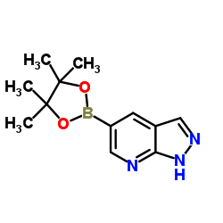 1H-PYRAZOLO[3,4-B]PYRIDINE-5-BORONIC ACID PINACOL ESTER structure, CAS 1093819-50-1