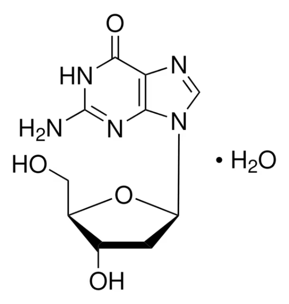 2'-DEOXYGUANOSINE MONOHYDRATE structure, CAS 312693-72-4